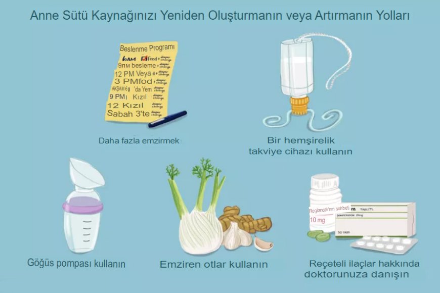 Anne sütü nasıl artırılır? Anne sütü hangi durumlarda azalır?