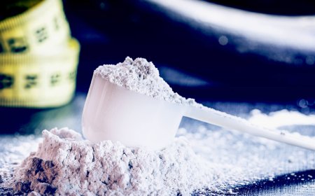 Kreatinin Faydaları