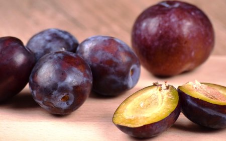 12.Haftada Hamilelik