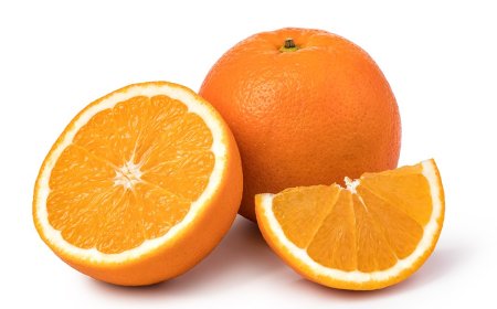 15.Haftada Hamilelik