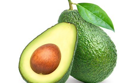 16.Haftada Hamilelik