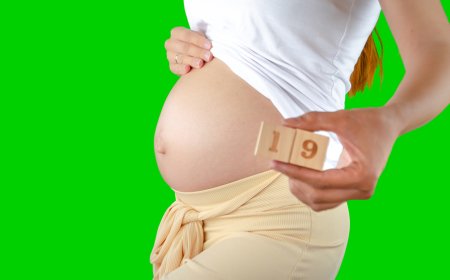 19.Haftada Hamilelik