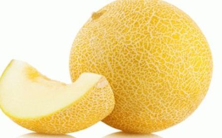 20.Haftada Hamilelik