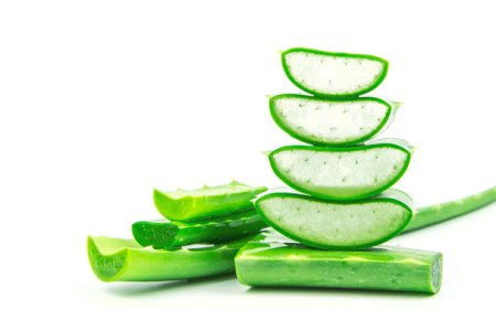 Aloe Vera'nın Saça Faydaları